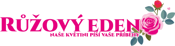 Podpořte nadaci